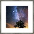 The Dreamer's Seat Framed Print