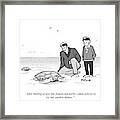 The Female Turtle Comes Ashore To Lay Her Anchor Framed Print