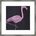 The Flamingo Framed Print