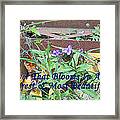 The Flower That Blooms In Adversity Framed Print
