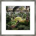 The Flower Tree Framed Print