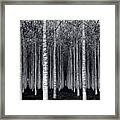 Monochrome Forest Symphony Framed Print