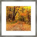 The Forest Road Framed Print