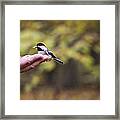 The Friendly Bird Framed Print