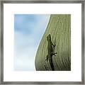 The Gecko And The King Framed Print