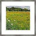 The Glory Of Spring Framed Print