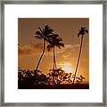 The Glow Of Sunset Framed Print