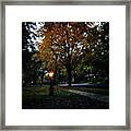 Illuminating Autumn Framed Print