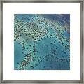 The Great Barrier Reef Framed Print