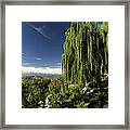 The Green And The Hills Framed Print