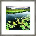 The Green Of Our Land Framed Print