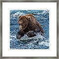 The Grizzly Plunge Framed Print