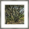 The Grove At Fort Fisher Framed Print