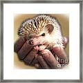 The Hands Who Cares For The Animals Framed Print