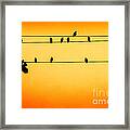 The Hang Out #2 Framed Print