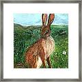 The Hare Framed Print