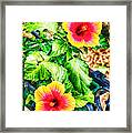 The Hibiscus Of Torcello Framed Print