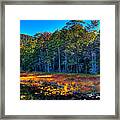 The Inlet To Cary Lake Framed Print