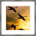 The Journey South Framed Print