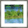 The Kayaks Framed Print