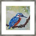 The Kingfisher Framed Print