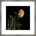 The Last Rose Of Summer Framed Print