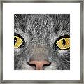 The Look Framed Print