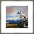 The Look Out Framed Print