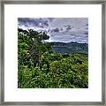 The Lush Greens Of Costa Rica Framed Print