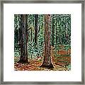 The Magic Emerald Forest Framed Print