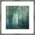 The Magic Forest Framed Print