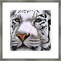 The Maharajah... Framed Print