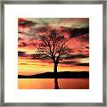 The Memory Tree Framed Print