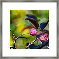 The Mysteries Of Autumn Framed Print