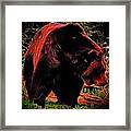 The Mystic Grizzly Bear Framed Print