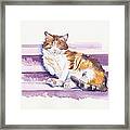 The Naughty Step - Snoozing Cat Framed Print