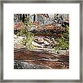 The Northern 3 Rs - Rocks And Rivers And Roots Framed Print