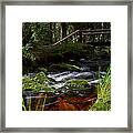 The Oder In The Harz Area Framed Print