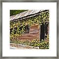 The Old General Store Framed Print