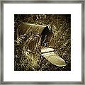 The Old Mailbox Framed Print