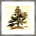 The Old Oak Tree Framed Print