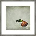 The Onions Framed Print