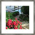 The Path To Lake Charlevoix Framed Print