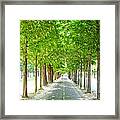 The Pathway To Paris Framed Print