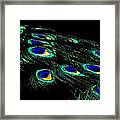 The Peacock Of The Night Framed Print