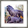 The Philadelphia Zoo Lion Statue Framed Print