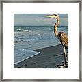 The Poser Framed Print