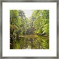 The Quiet River Framed Print