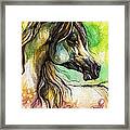 The Rainbow Colored Arabian Horse Framed Print