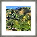 The Rice Terraces Of Northern Vietnam Framed Print